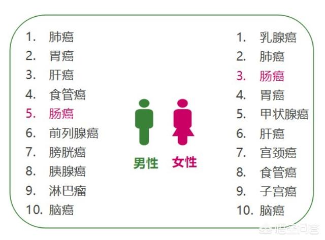 肠梗塞会腹泻:猫咪肠梗阻是怎样引起的？ 肠梗阻腹痛怎么缓解