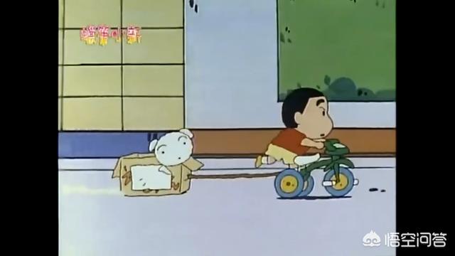 玛尔济斯犬蜡笔小新:蜡笔小新家的狗狗叫什么？