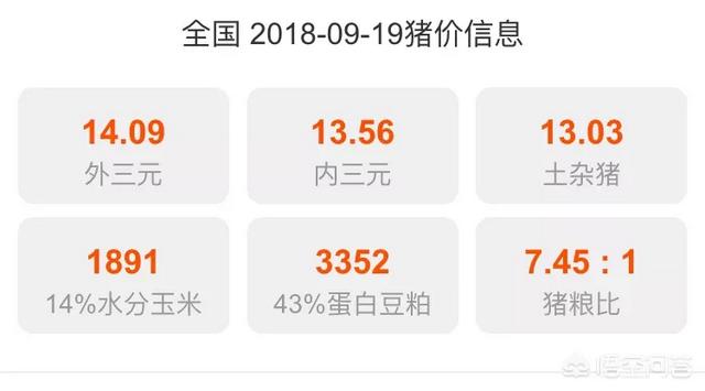 养猪成本不断上涨,未来前景怎么样？