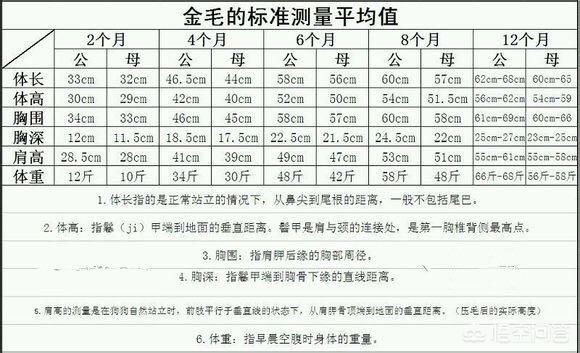 宠物婚介品种健康:宠物龟什么品种好养活寿命长？ 宠物婚介