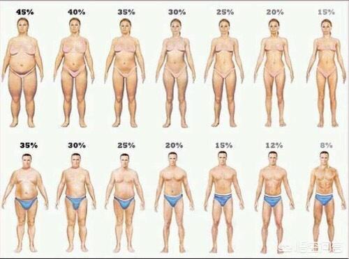 头条问答 体脂率在25 左右 肚子有肥肉该怎么练 19个回答