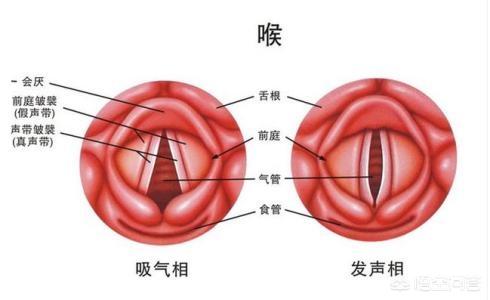 咽喉炎治疗(咽喉炎治疗最快的办法)