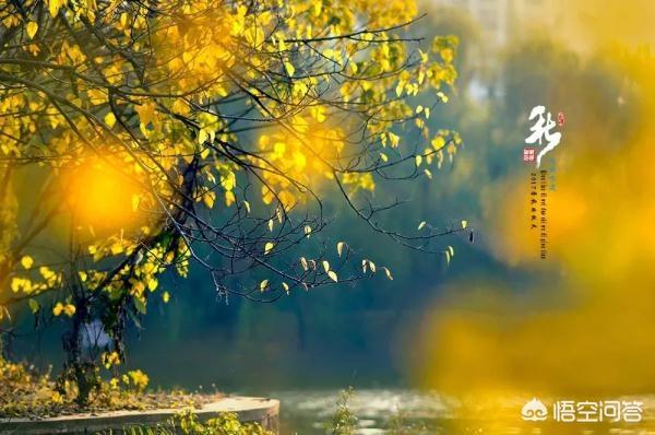 生活朋友圈的唯美句子:有哪些唯美的句子适合发在QQ空间？(适合qq空间里发的说说)