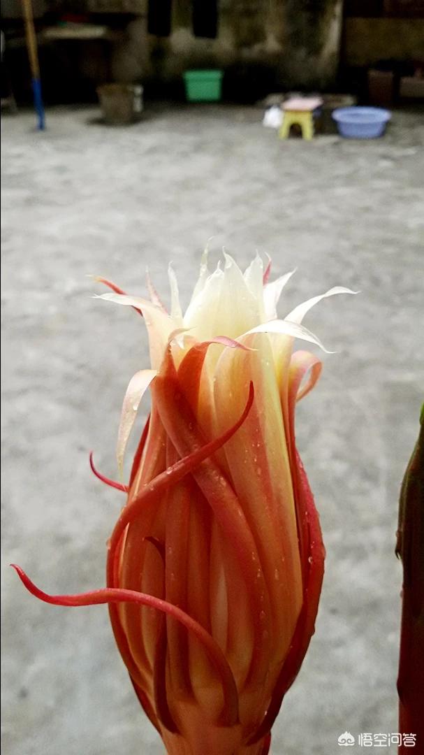 中秋在哪些地方赏月最好？