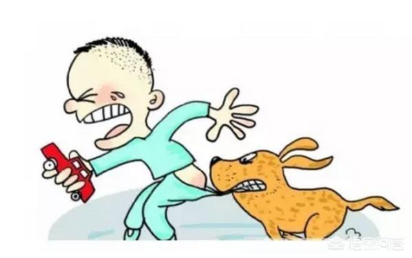 狂犬病发病症状前兆能治吗:狂犬病早期有哪些症状？被犬类动物咬后应如何处理？