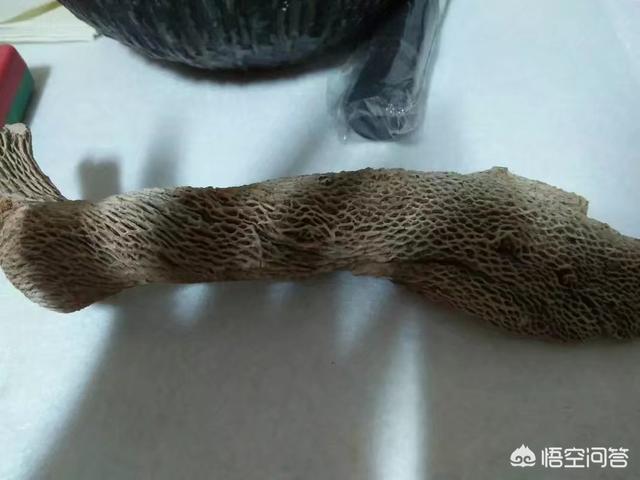 鹰歌山灵异事件:你在昆仑山亲身经历过哪些事？