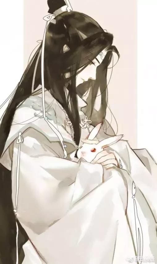 河神大人求收养:有什么类似于《魔道祖师》之类的小说？ 河神大人求收养 开车