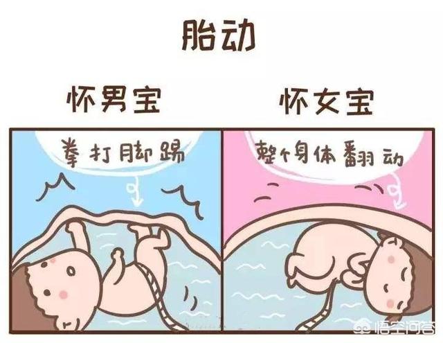 男孩喜欢拳打脚踢,喜欢鼓小包,反正就是折腾呗!不知道这些说法靠谱不?