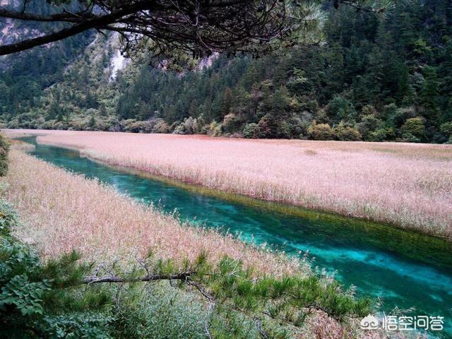 九寨沟在四川哪里(九寨沟在四川哪个城市下火车)