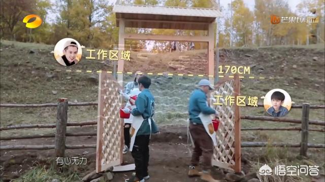 王鹤棣身高:武艺在《亲爱的客栈》第二季第一期表现如何？