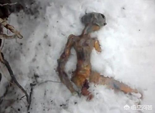 俄罗斯西伯利亚的伊尔库次克雪地发现外星人尸体,是真的吗？