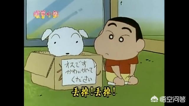 玛尔济斯犬蜡笔小新:蜡笔小新家的狗狗叫什么？