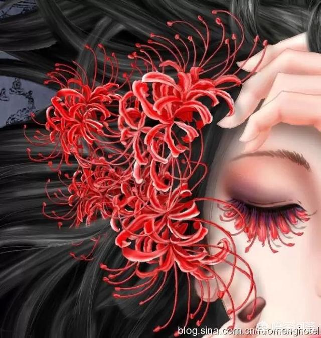 是不是异性缘好的女性同性缘就差？