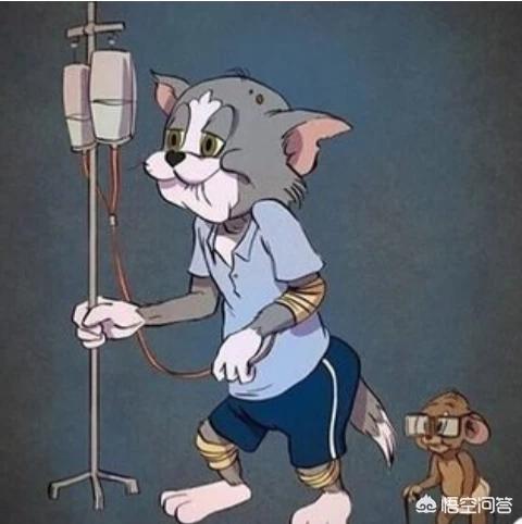 老鼠抓猫36计:《猫和老鼠》中有哪些容易忽略的细节？