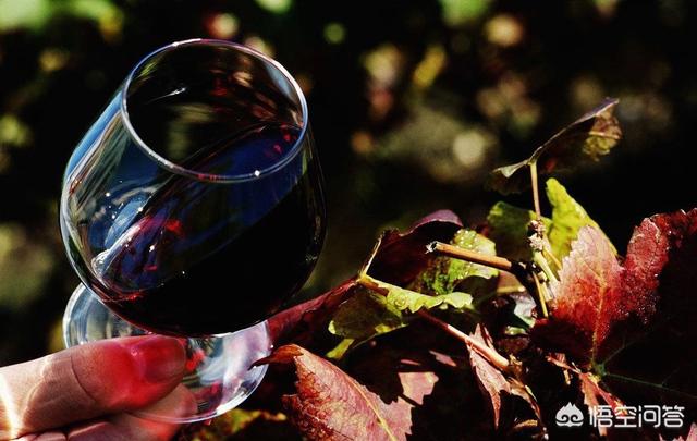 红酒色泽怎么看，如何判断葡萄酒的各种特点？