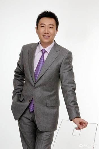 陈伟鸿:如何评价央视主持人陈伟鸿？