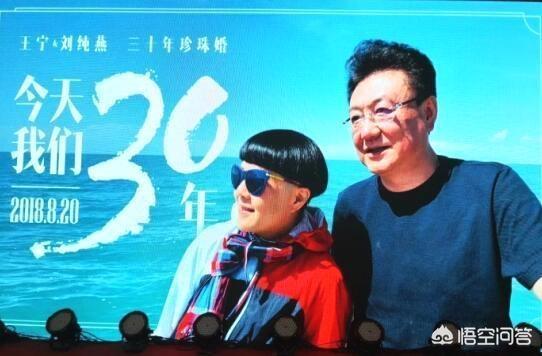 王宁和刘纯燕:中央台主播王宁的近况怎么样？