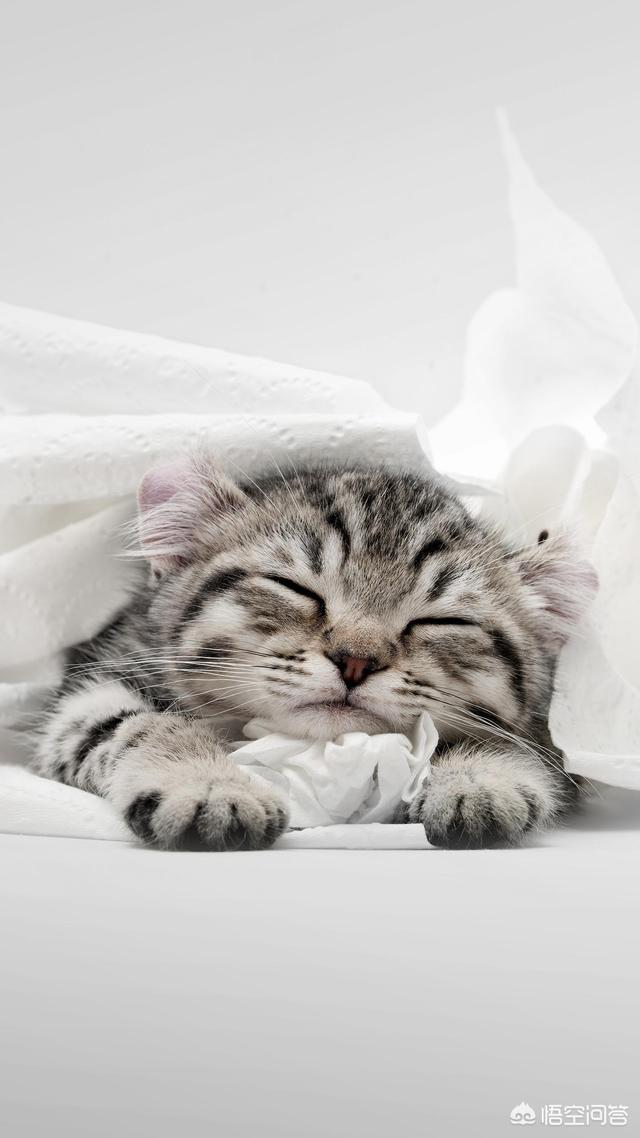 你觉得晚上几点睡觉比较好为什么