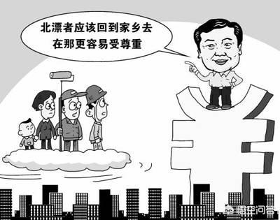 幸运土猫北京:是什么原因让你养了第二只猫？