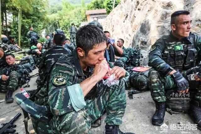 武警特种部队与陆军特种部队有什么区别？哪个的作战能力更强？插图10