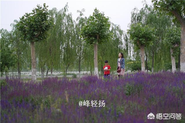赵县柏林寺灵异事件:石家庄有什么免费的景点或便宜好玩的地方？