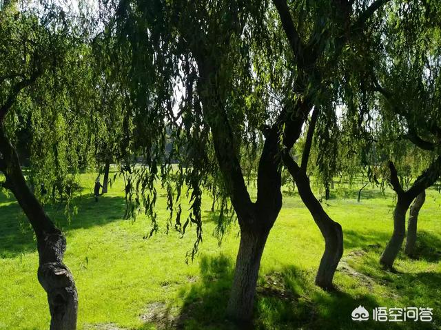 中山大学校长:经济学最好的是哪几所大学？