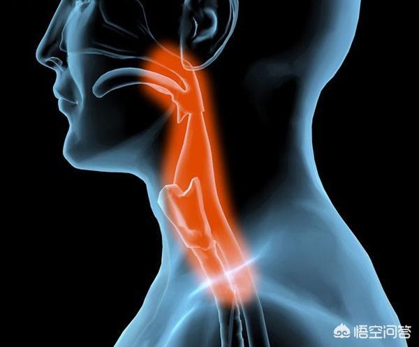 喝热水,女生是怎么看待“多喝热水”的？什么话才能讨女孩子欢心呢？