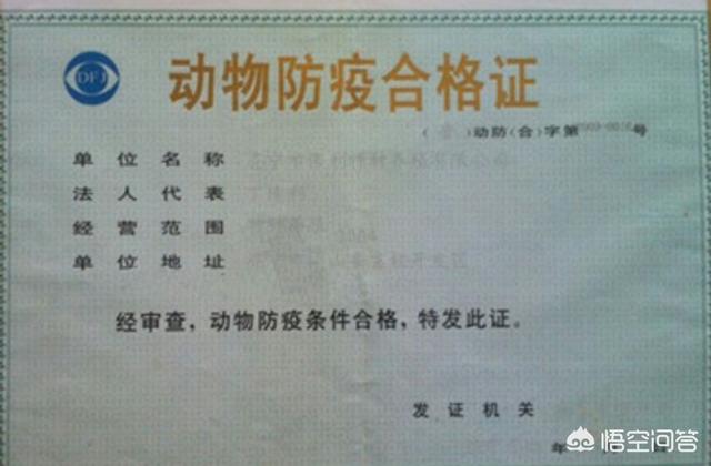 育民村香猪养殖场:2019年养殖香猪赚钱吗？香猪养殖前景如何？