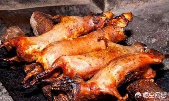 兔肉是凉性为何兔脑是温性:兔肉的营养价值都有哪些呢？