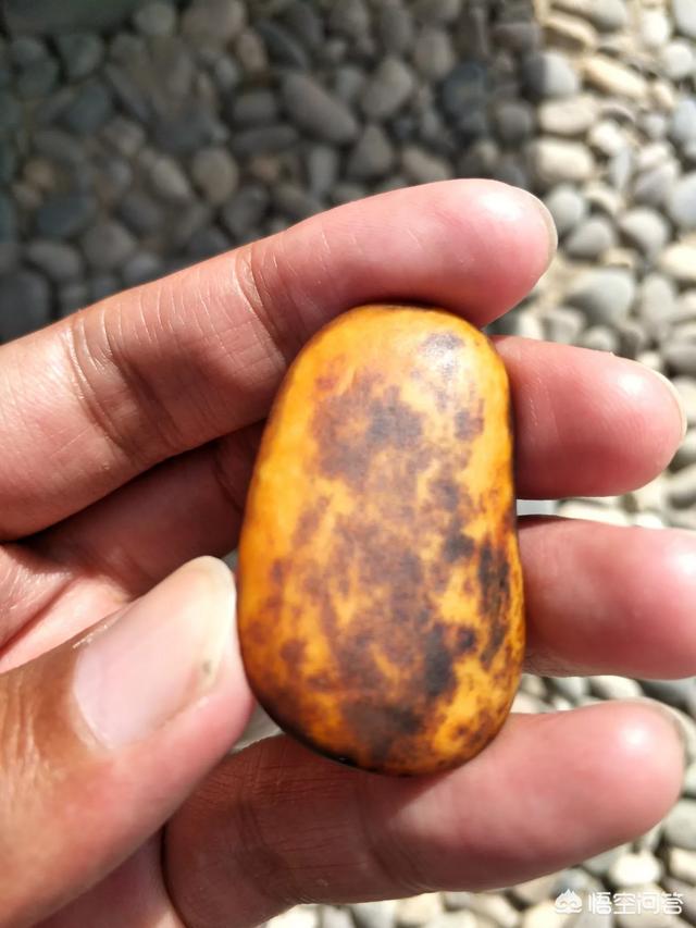 真正的和田黄玉,如何鉴定和田玉的黄玉籽料的价值？