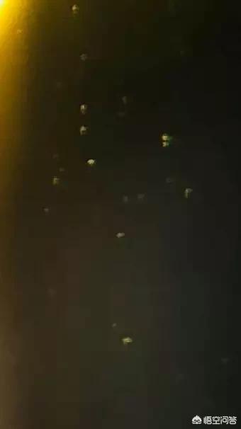 太阳周围的ufo:太阳附近会有UFO吗？你怎么看？