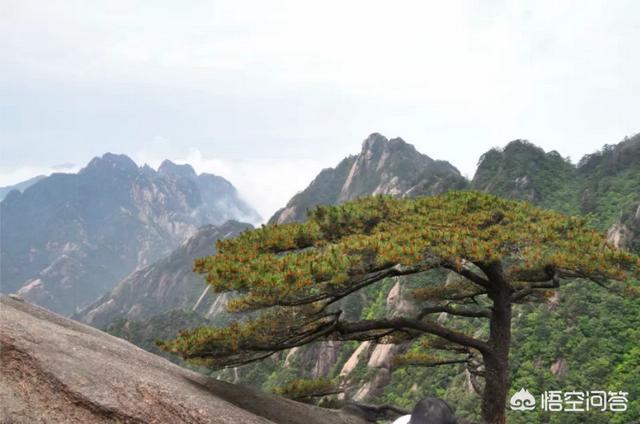 中国十大名胜古迹，在你心中，排名前十的中国旅游景点有哪些