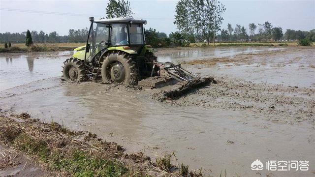 头条问答 种植水稻机械化耕整地价格是多少元每亩 26个回答