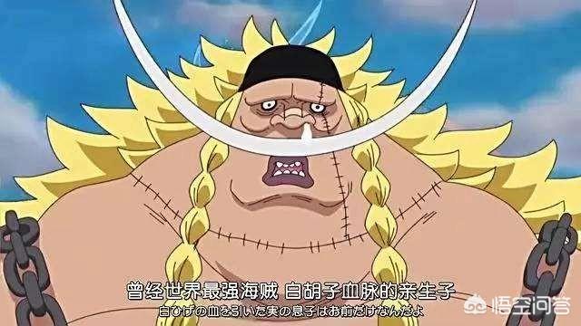《海贼王》中有哪些身高差巨大的夫妻?-惠修网