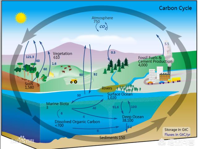 头条问答 - 考古学中经常用到的碳十四测年断代的原理是什么?