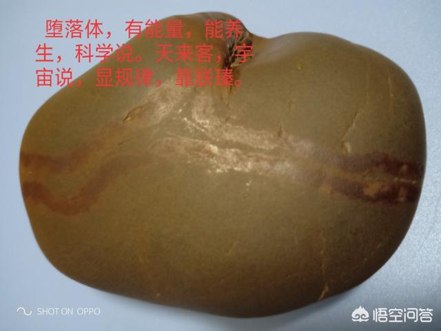 地震仪,为什么地震仪能记录地震？