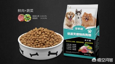 拉布拉多犬性格如何:拉布拉多犬的智商有多高？排第几？