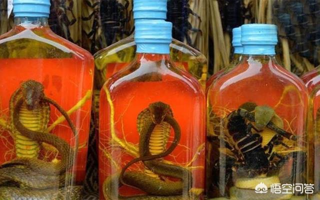 蛇酒壮阳吗，农村有些人家喜欢泡毒蛇酒，毒蛇需不需要去掉内脏再泡酒为什么