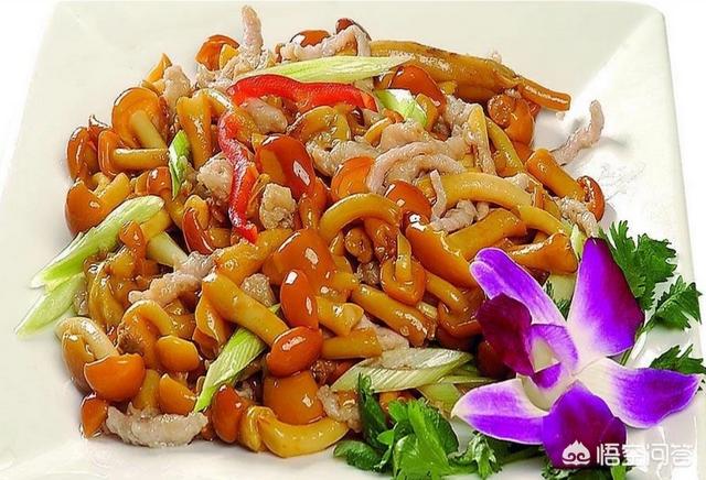 炒鸡胸脯肉的做法大全家常:家庭炒鸡肉需要焯水吗，怎么做简单又好吃？