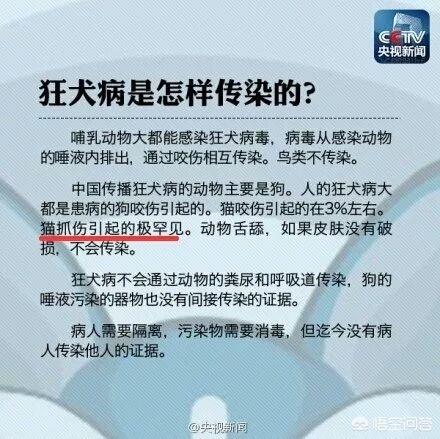 不小心被家猫抓伤有一点点划伤:被自己养的猫咪抓伤了，破皮了，该怎么处理？
