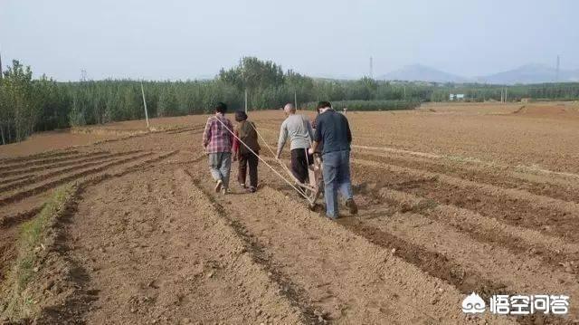 周群老公:30岁的女人是否应该放弃事业、回归家庭？