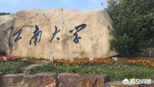 江南大学在国内属于什么档次？