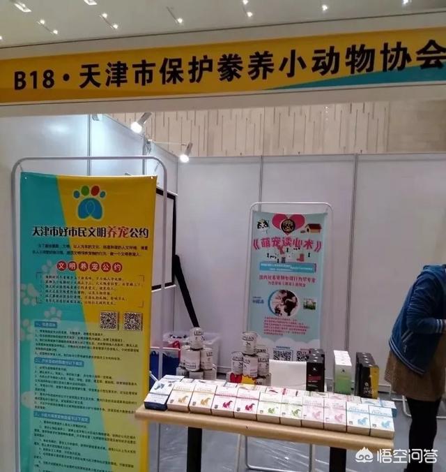 上海宠物展团购:哪里可以查到2018年宠物用品展会的信息？ 2021上海宠物展