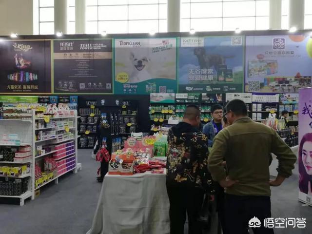 上海宠物展团购:哪里可以查到2018年宠物用品展会的信息？ 2021上海宠物展