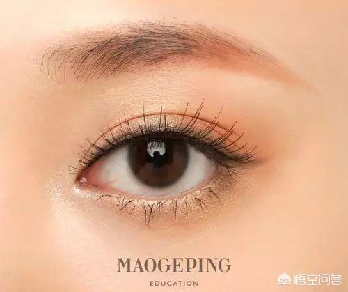 怎样学会眉毛的入门画法呢？插图55