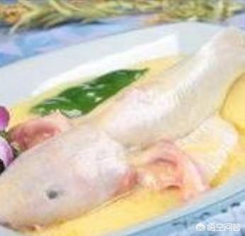锅盔牙子:用几个字说出自己的家乡，代表性的食物或者人物或者美食风景？