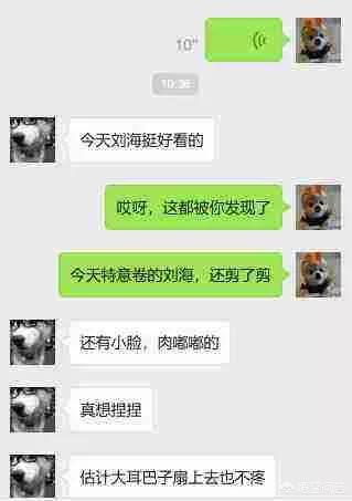 你身边的“钢铁直癌”男是如何与女孩聊天的