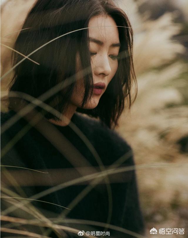 刘雯是维密第七次走秀。她在全球模特圈的地位如何？
(图14)