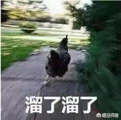 秦始皇的母亲赵姬一生中究竟爱过几人,最后又是怎么死的呢？