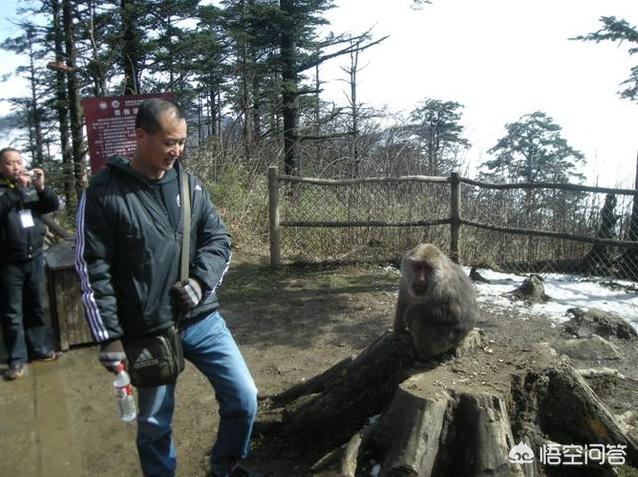 世界十大旅游胜地排行榜，世界十大最著名海滩是什么